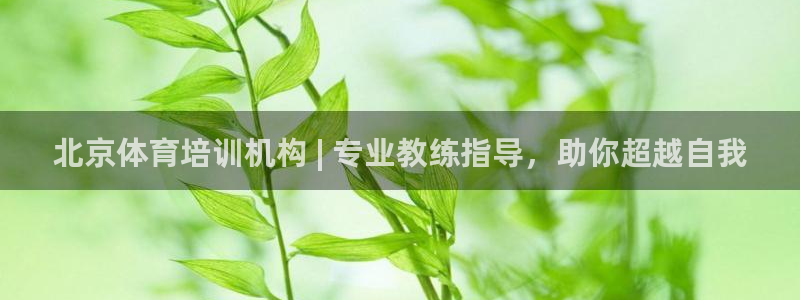 耀世娱乐登陆官网下载：北京体育培训机构 | 专业教练指导，助