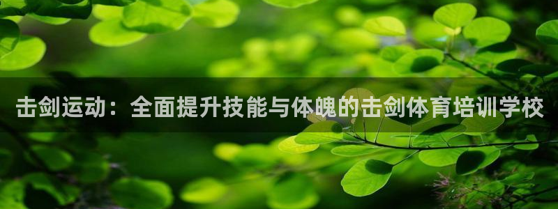 耀世娱乐在线登录官网入口下载：击剑运动：全面提升技能